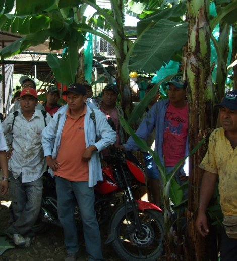 Un grup de grangers d'APPBOSA es van trobar amb el personal i els voluntaris d'Oikocredit.