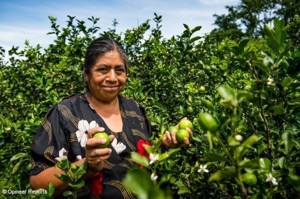 L’organització sòcia d’Oikocredit Concreces dóna suport a la Rosalía Alícia Sánchez Valecia a cultivar una gran varietat de fruites, verdures i flors conjuntament amb el seu marit.