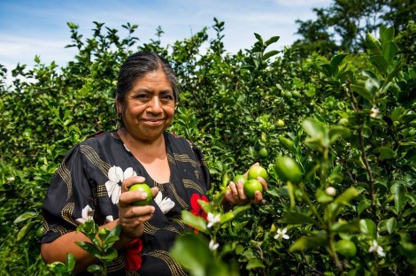 Rosalia Sanchez, agricultura sostenible en Mexico.