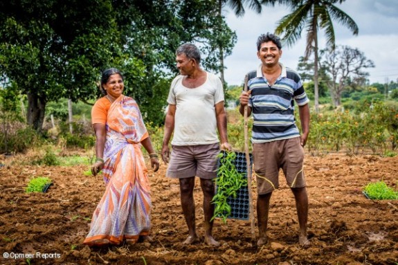 L'Agricultor i client d'Y-Cook Krishna Muthy (dreta) amb els seus pares en el seu camp de blat de moro